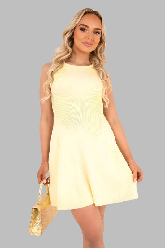 Sleeveless High Neck Pleated Mini Dress - Mini Dresses - Occasion by Lucy